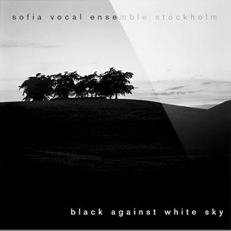 Omslag till Black Against White Sky